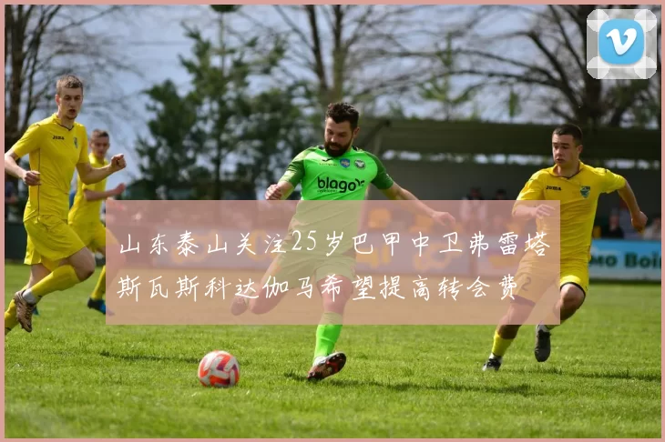 山东泰山关注25岁巴甲中卫弗雷塔斯瓦斯科达伽马希望提高转会费